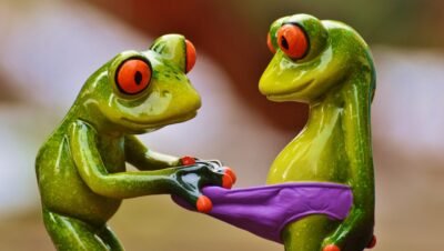 guia de tecidos em underwear masculina algodão, modal, microfibra e quando usar